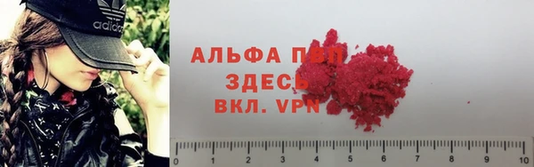 не бодяженный Новозыбков