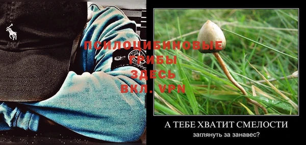 MDMA Premium VHQ Нефтекумск