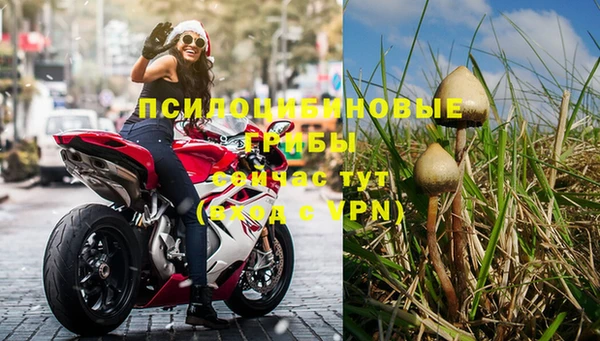мяу мяу мука Нефтегорск