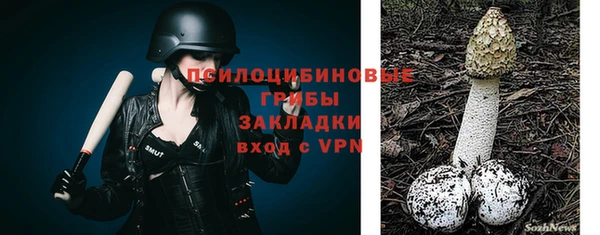 герыч Новодвинск