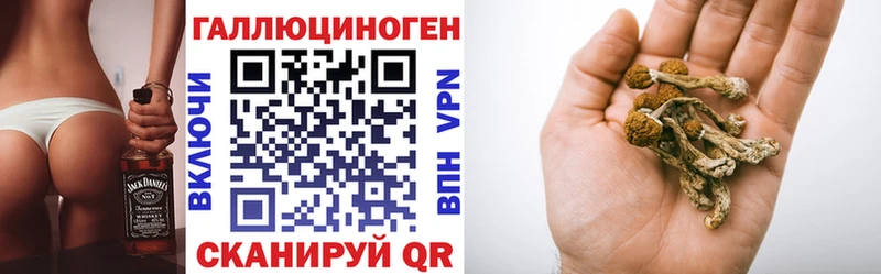 где купить наркоту  Красавино  kraken онион  Галлюциногенные грибы GOLDEN TEACHER 